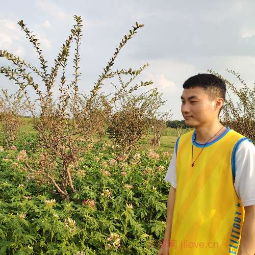 37岁岁广东单身帅哥 - 玉溪吉缘网